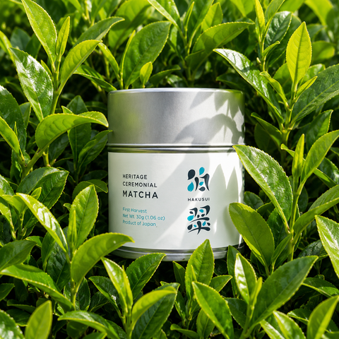 HAKUSUI Heritage Ceremonial Matcha