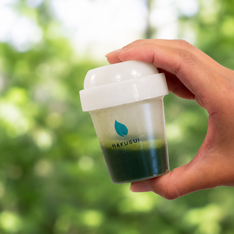 HAKUSUI Matcha Mini Shaker